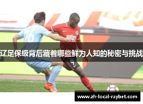 辽足保级背后藏着哪些鲜为人知的秘密与挑战