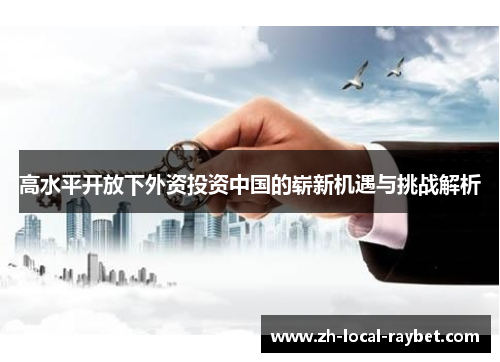 高水平开放下外资投资中国的崭新机遇与挑战解析 高水平开放下外资投资中国的崭新机遇与挑战解析
