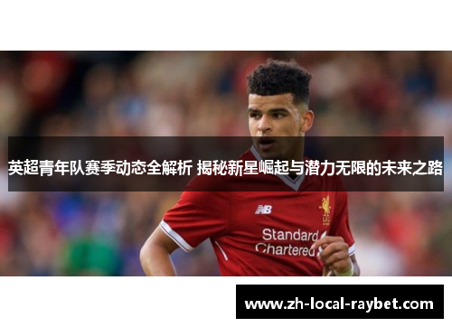 英超青年队赛季动态全解析 揭秘新星崛起与潜力无限的未来之路
